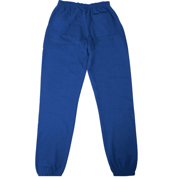 Sp5der Logo Print  blue Sweatpants